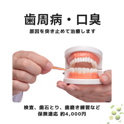 歯周病・口臭の治療